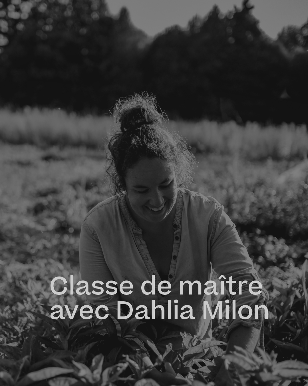 Classe de maître avec Dahlia Milon Teinture végétale